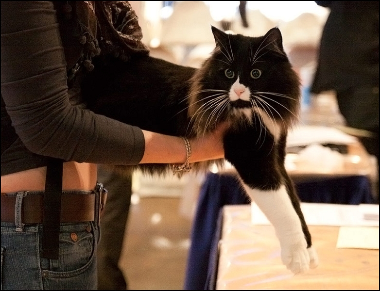 Inconnu 5.jpg - Inconnu